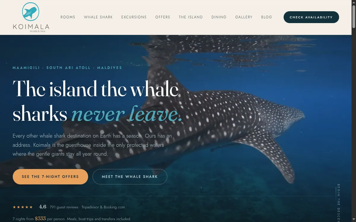 Koimala Maldives guesthouse website — whale shark snorkeling packages and room booking